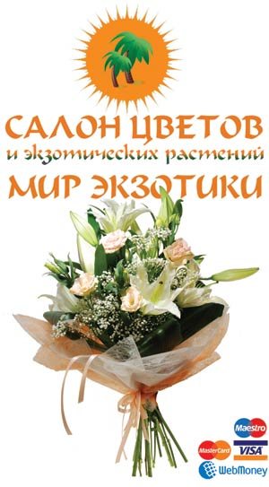 Магазины Цветов В Москве Отзывы