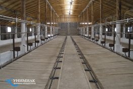 стойловое оборудование привязного содержания крс