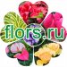 цветочный интернет-магазин Flors.ru