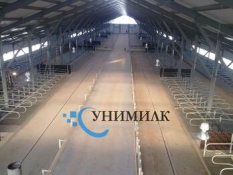 стойловое оборудование беспривязного содержания крс
