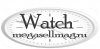 Интернет-магазин китайских  наручных часов watch.megasellmag.ru    