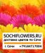 Sochiflowers - доставка цветов Сочи
