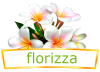 Цветочный интернет магазин Florizza