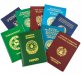 Перевод паспорта 