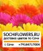 Sochiflowers - доставка цветов Сочи